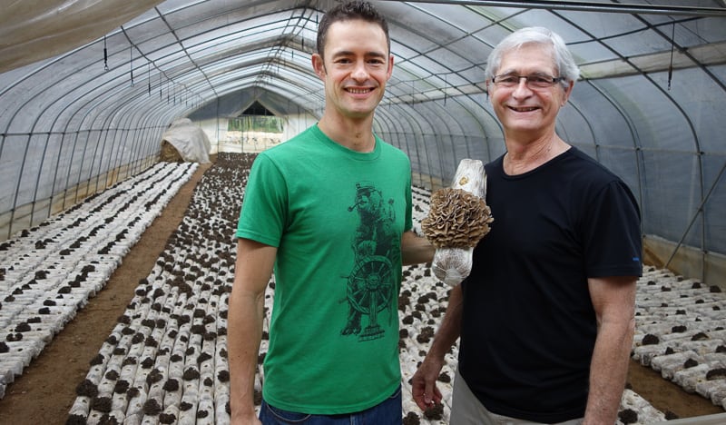 Skye and Jeff at an Organic Maitake farm in China Skye and Jeff at an Organic Maitake farm in China