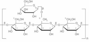 beta-glucan molecular structure