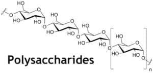 polysaccharides molecular structure