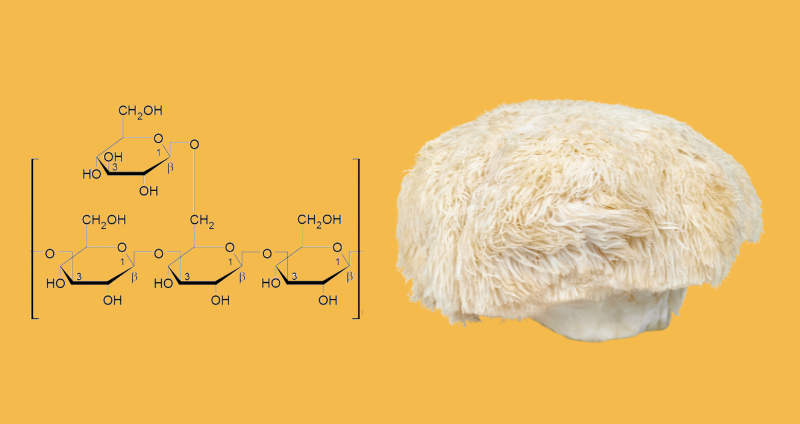 The Truth Behind Polysaccharides in Medicinal Mushrooms