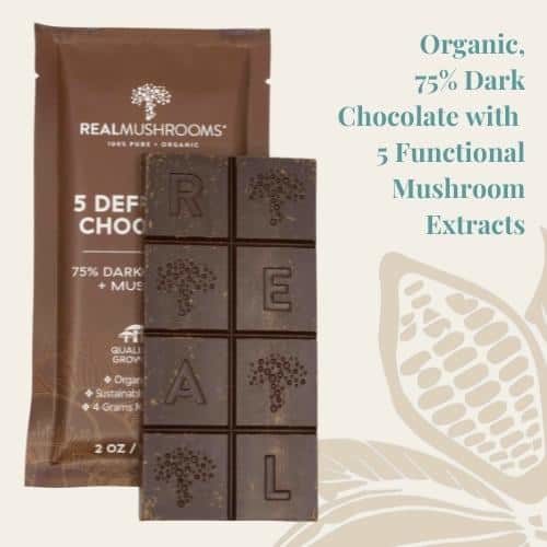 Mushroom Chocolate Bar - Real Mushrooms