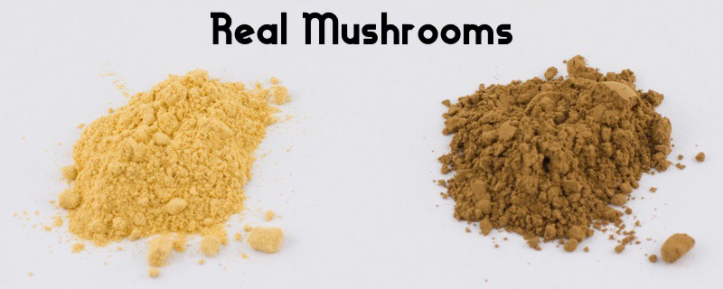 Real Mushrooms Reishi and Cordyceps comparison