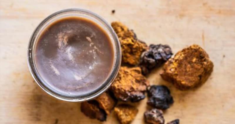 Chaga Skin Food