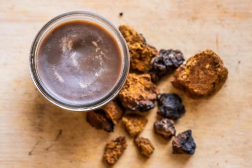 Chaga Skin Cream Recipe with mushroom powder