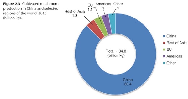 Cultivated mushroom production in China and selected regions of the world, 2013 (billion kg)