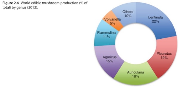 World edible mushroom production (% of total) by genus (2013)