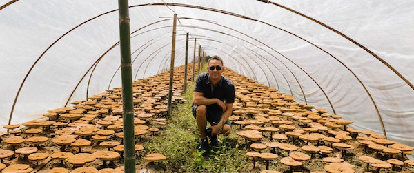 Me at an organic reishi farm in China.