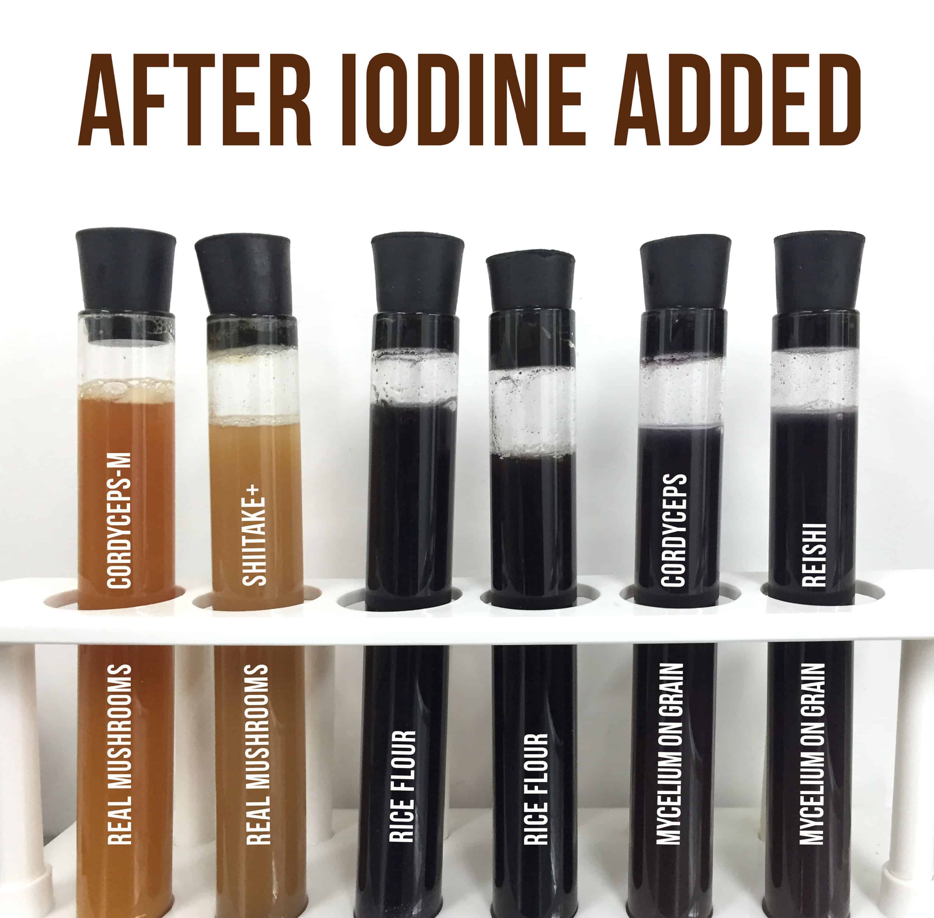 iodine test for starch results