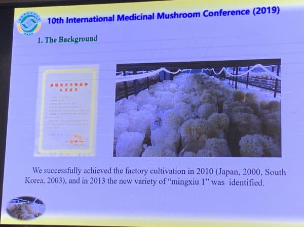 IMMC10 - Cauliflower Mushroom Cultivation