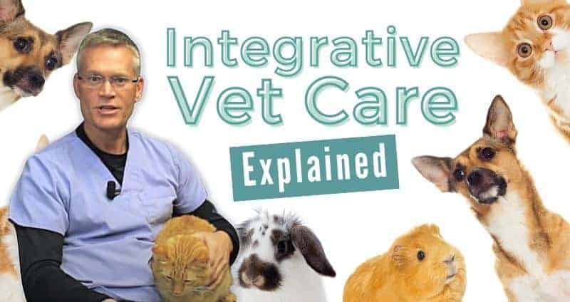 Integrative Veterinarian Neal Sivula