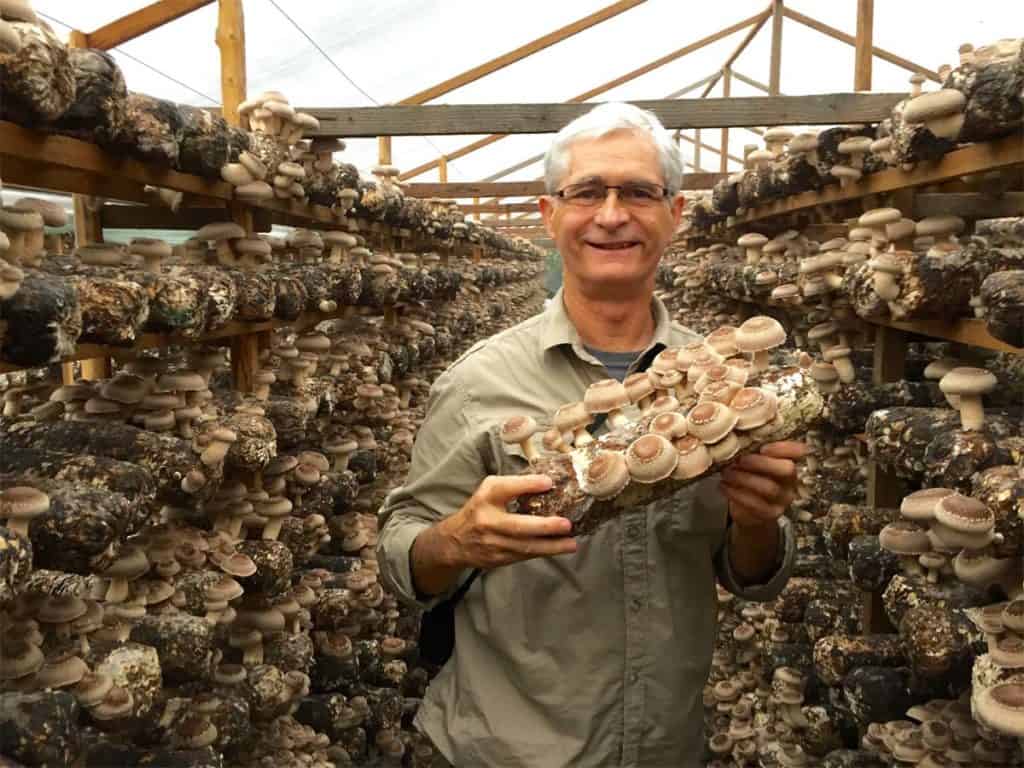 Jeff at an organic shiitake farm in China