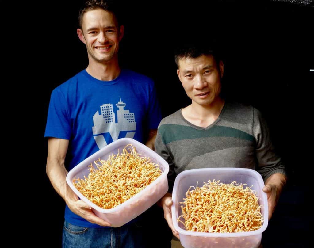 Skye enjoys time with one of the farmers at an organic Cordyceps militaris farm in China