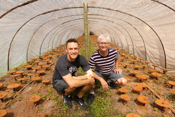 Skye & Jeff at an organic mushroom farm in China