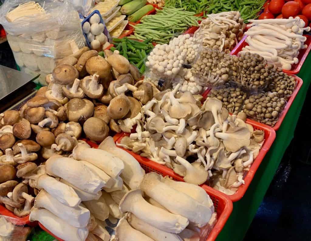 Medicinal mushroom varieties