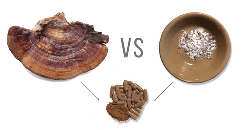 Mycelium vs Fruiting Body