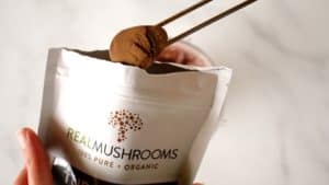 real mushrooms powder