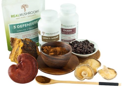 real mushrooms homepage image