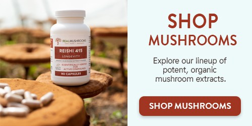 Shop Mushroom Extracts