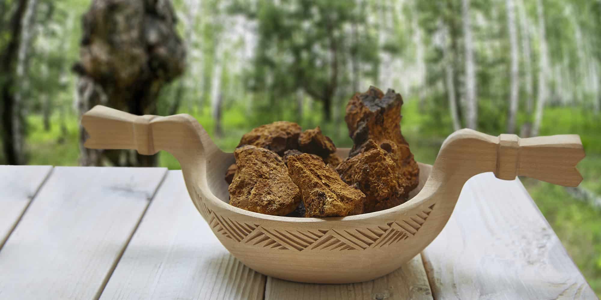 Chaga guide