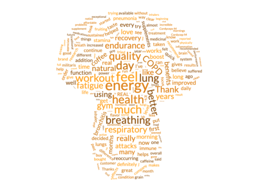 Cordyceps word cloud cordyceps reviews