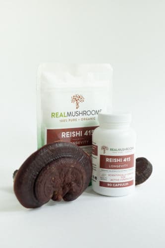 Reishi powder