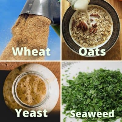 foods containing beta d glucan