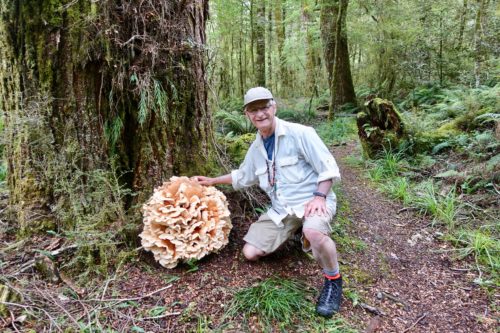 Jeff Chilton foraging mushrooms