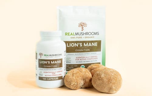 Real Mushrooms Lion's Mane