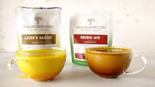 lion's mane recipe