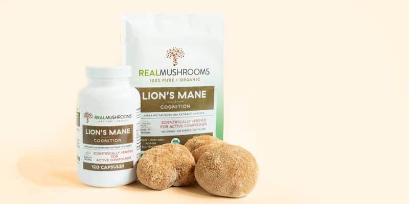lions mane mushroom benefits