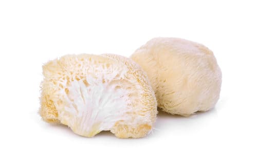 lion's mane mushroom benefits lion's mane mushroom benefits