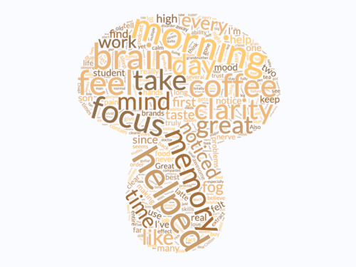 lion's mane mushroom benefits