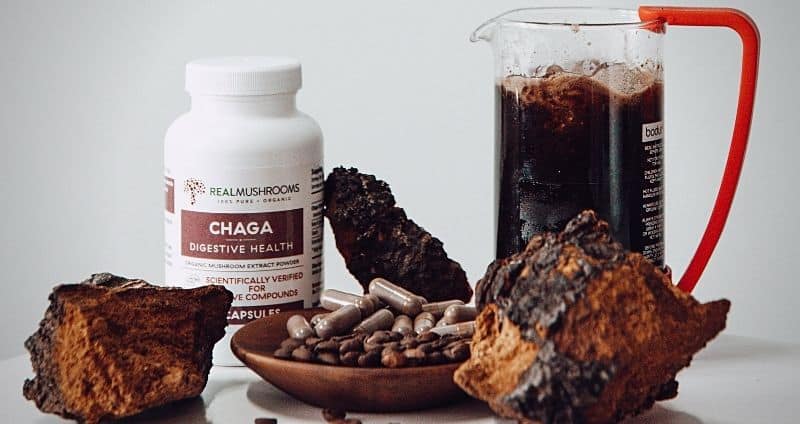 chaga mushroom benefits
