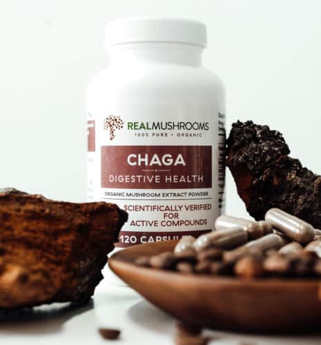 chaga mushroom benefits