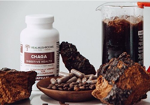 Chaga mushroom benefits