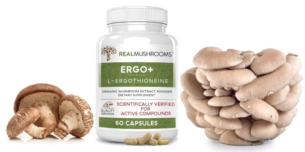 Ergothioneine Supplement Guide: Facts, Benefits, and Usage