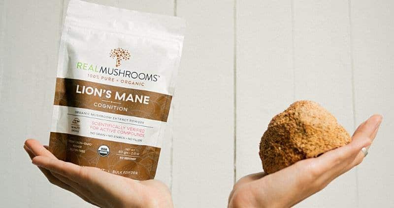 Lion’s Mane Mushroom Benefits: A Complete Supplement Guide cover