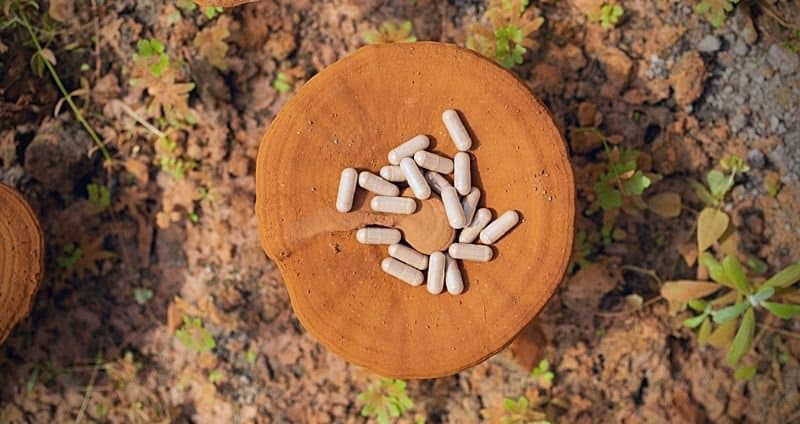 Reishi Mushroom Benefits & Usage: A Comprehensive Guide