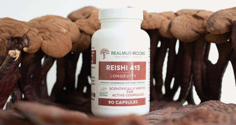 Reishi Mushroom Benefits & Usage: A Comprehensive Guide cover