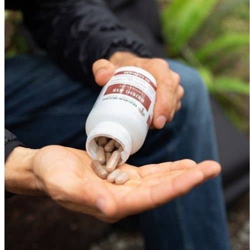 organic reishi mushroom extract capsules