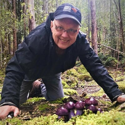 Cortinarius archeri tasmanian mushroom