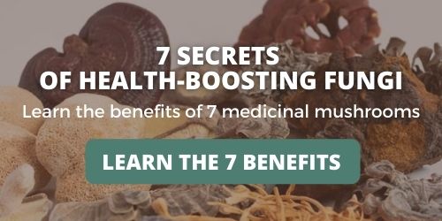 Read Mushroom 7 Benefits Article