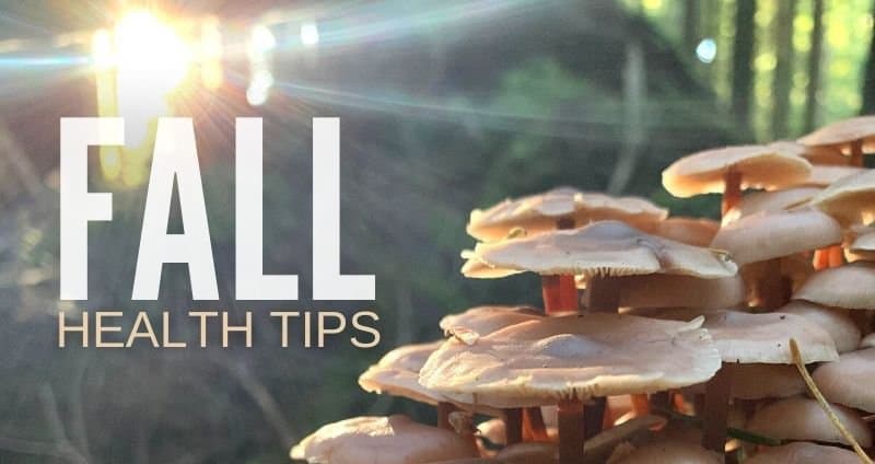Fall Health Tips: A Mushroom-centric Survival Guide