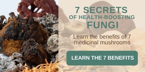 Read Mushroom 7 Benefits Article