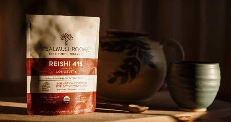 Healthy Mushrooms: A Primer for Newbies to Mushroom Supplements