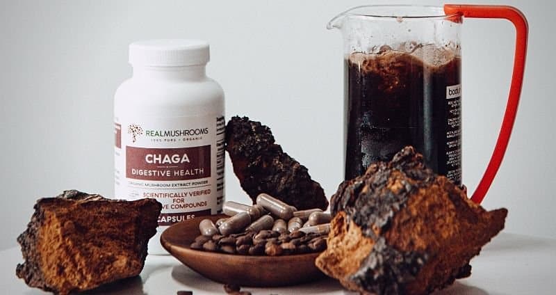 How to Make Chaga Tea and 9 Other Chaga Recipes