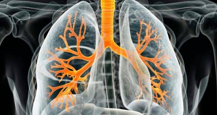 Supplements for Lung Health: Cordyceps for Better Respiration