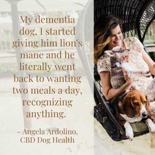 Dog dementia - lion's mane
