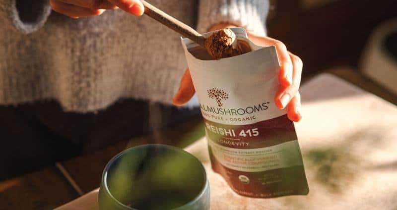 Reishi Mushroom Powder Recipes: 5 Delicious Drinks and Snacks
