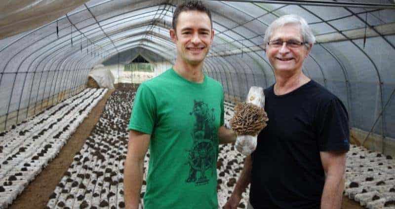 Mushroom Business FAQs With Real Mushrooms CEO, Skye Chilton cover